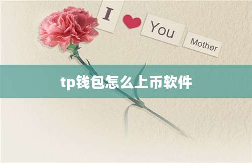 tp钱包怎么上币软件