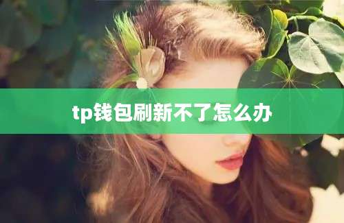 tp钱包刷新不了怎么办