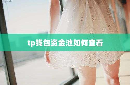 tp钱包资金池如何查看