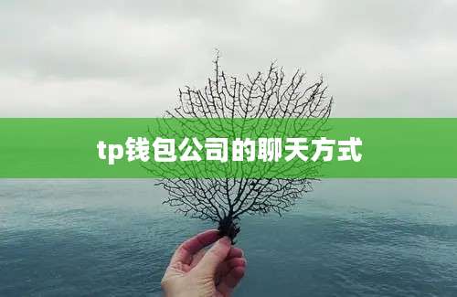 tp钱包公司的聊天方式