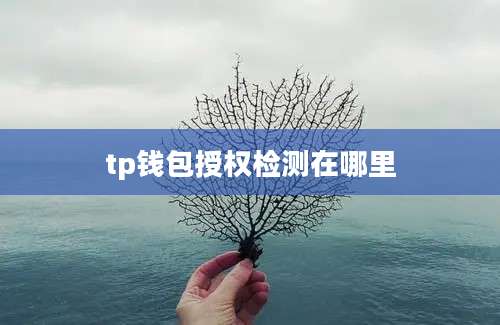 tp钱包授权检测在哪里