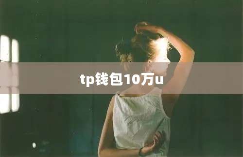 tp钱包10万u