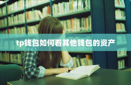 tp钱包如何看其他钱包的资产