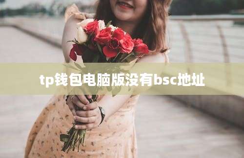 tp钱包电脑版没有bsc地址