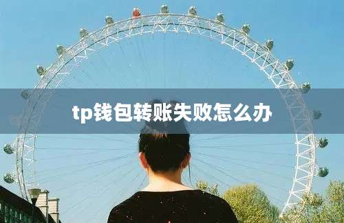 tp钱包转账失败怎么办