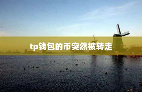 tp钱包的币突然被转走
