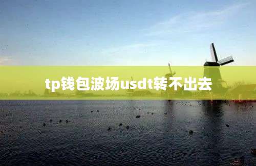 tp钱包波场usdt转不出去