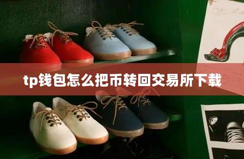 tp钱包怎么把币转回交易所下载