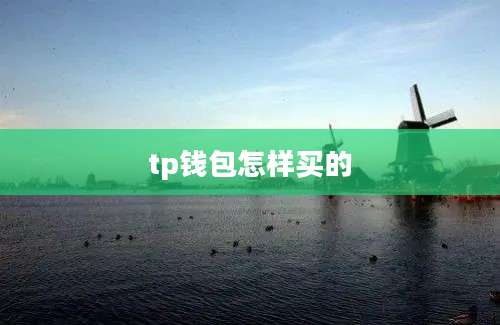 tp钱包怎样买的