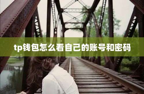 tp钱包怎么看自己的账号和密码