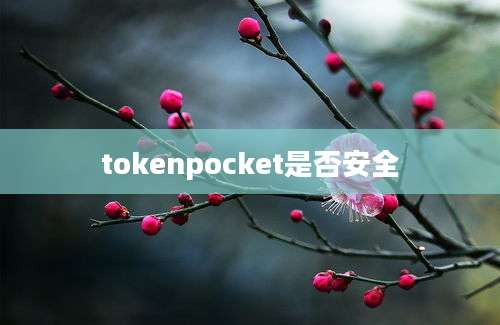tokenpocket是否安全