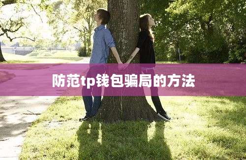防范tp钱包骗局的方法