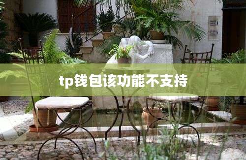 tp钱包该功能不支持