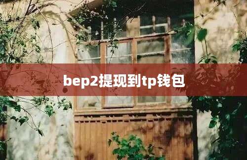 bep2提现到tp钱包