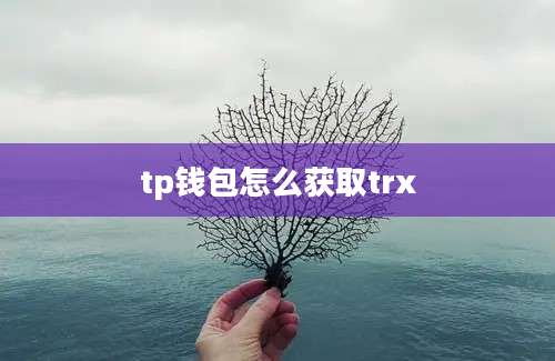 tp钱包怎么获取trx