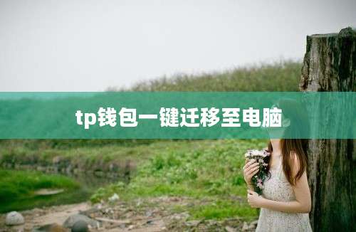 tp钱包一键迁移至电脑