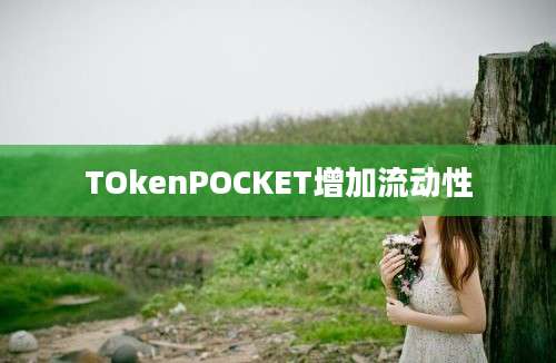 TOkenPOCKET增加流动性