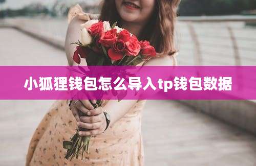 小狐狸钱包怎么导入tp钱包数据