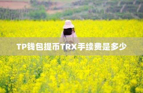 TP钱包提币TRX手续费是多少