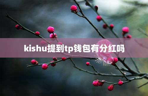 kishu提到tp钱包有分红吗