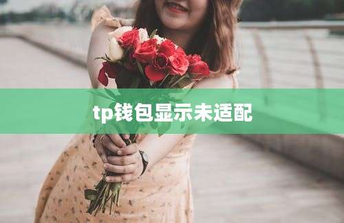 tp钱包显示未适配