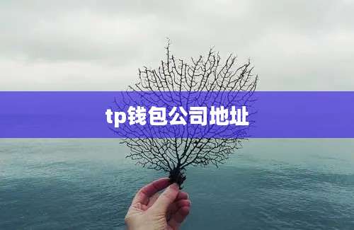 tp钱包公司地址