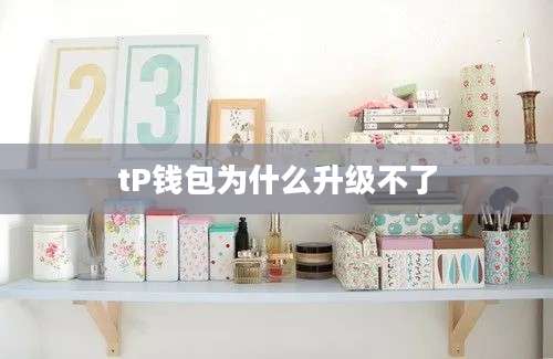 tP钱包为什么升级不了