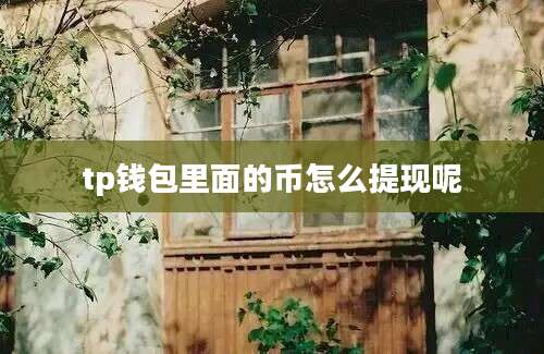 tp钱包里面的币怎么提现呢