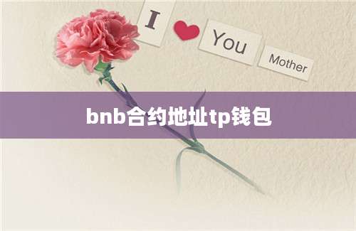 bnb合约地址tp钱包