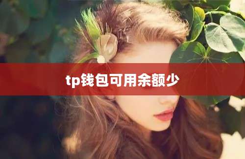 tp钱包可用余额少