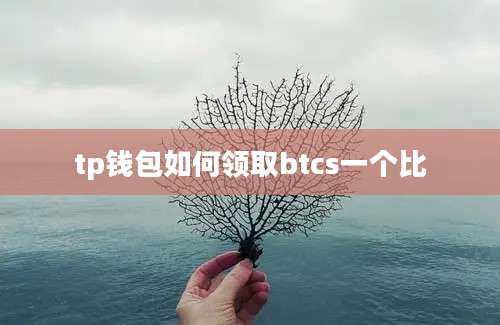 tp钱包如何领取btcs一个比