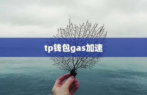 tp钱包gas加速
