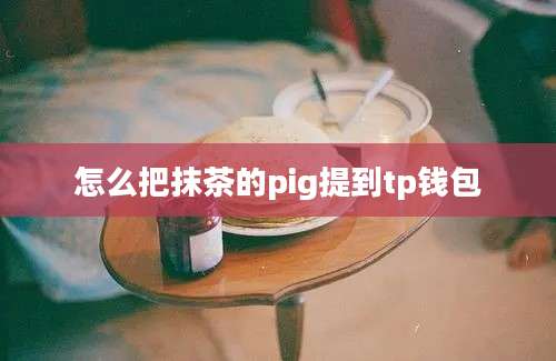 怎么把抹茶的pig提到tp钱包