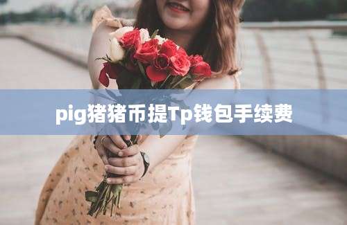 pig猪猪币提Tp钱包手续费