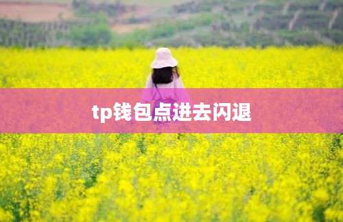 tp钱包点进去闪退
