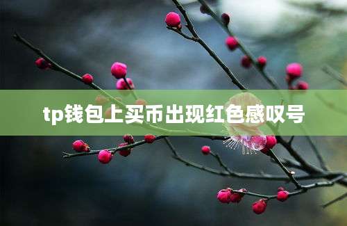 tp钱包上买币出现红色感叹号