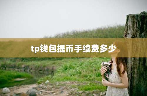 tp钱包提币手续费多少