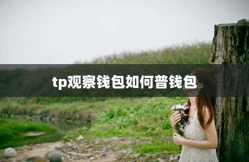 tp观察钱包如何普钱包