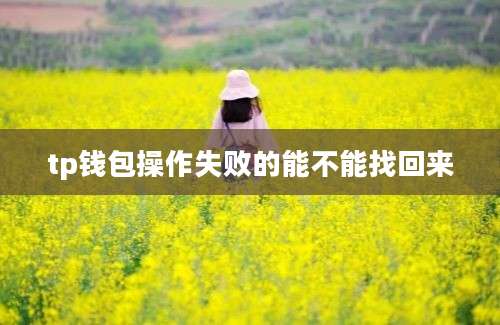 tp钱包操作失败的能不能找回来