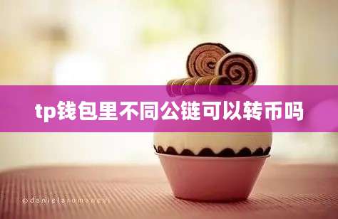 tp钱包里不同公链可以转币吗