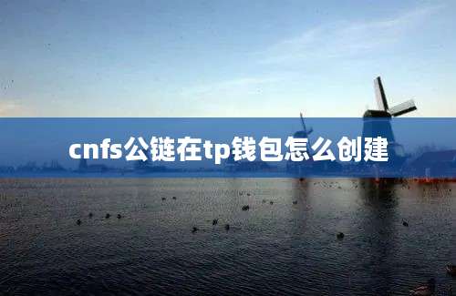 cnfs公链在tp钱包怎么创建