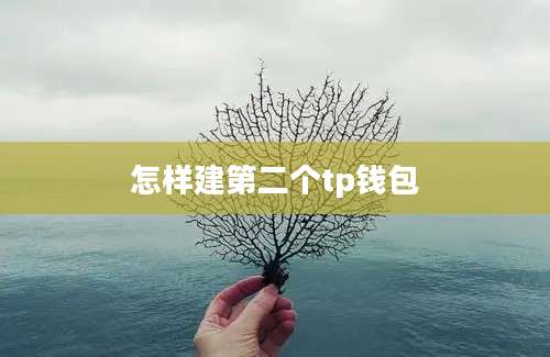 怎样建第二个tp钱包