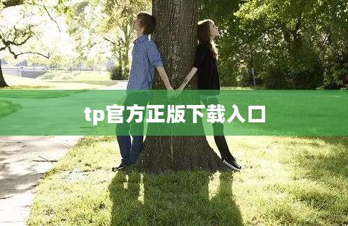 tp官方正版下载入口