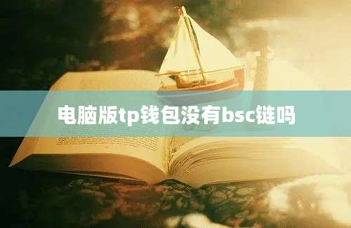 电脑版tp钱包没有bsc链吗