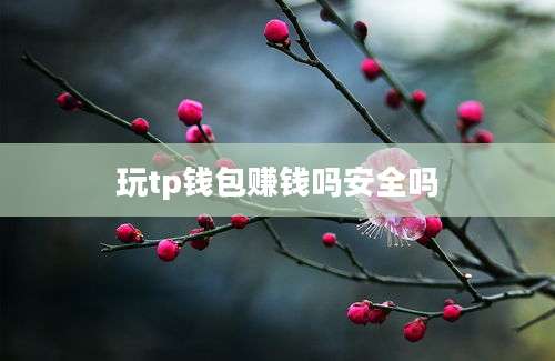 玩tp钱包赚钱吗安全吗
