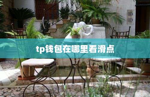 tp钱包在哪里看滑点