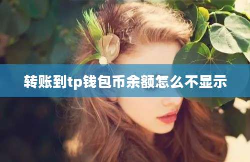 转账到tp钱包币余额怎么不显示