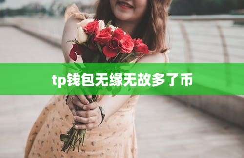 tp钱包无缘无故多了币