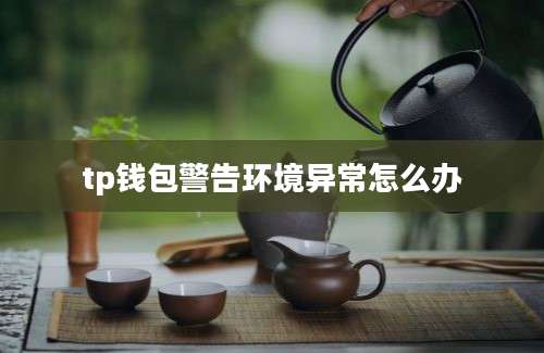 tp钱包警告环境异常怎么办