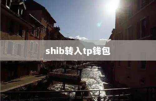 shib转入tp钱包